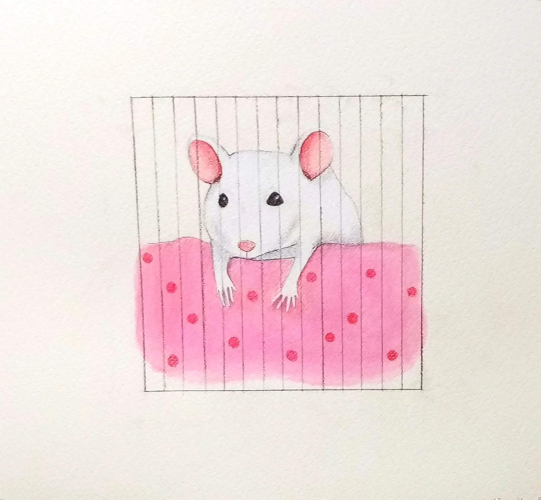 Lola, graphite and acrylic 2022