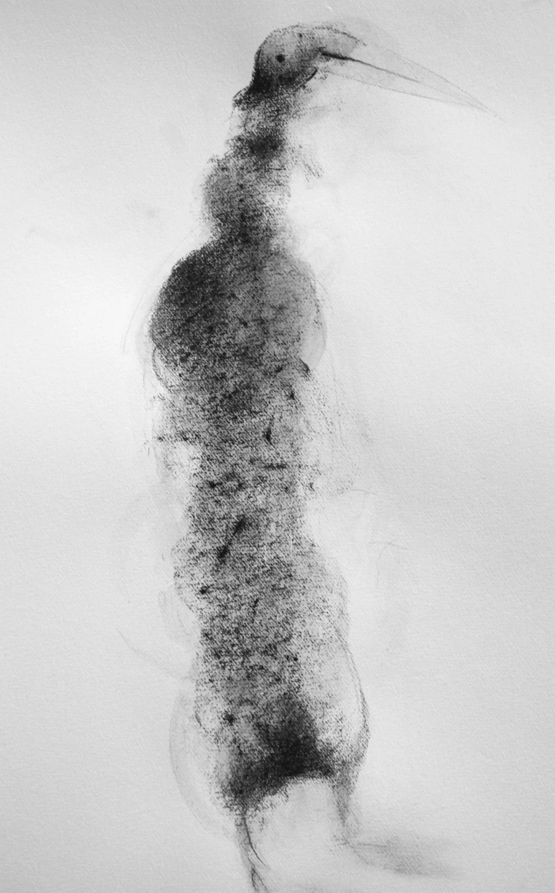 Untuvatehdas  graphite 2011