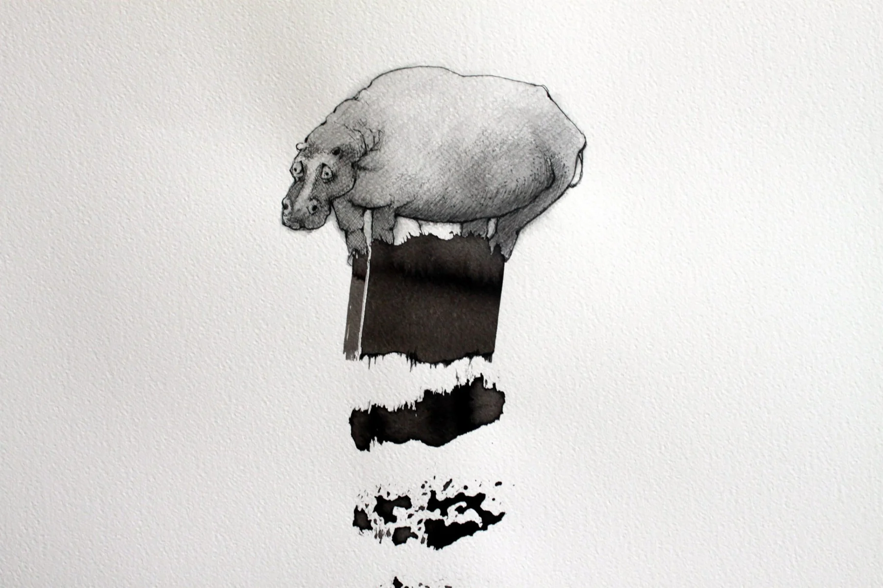 HEVI graphite and ink 2011