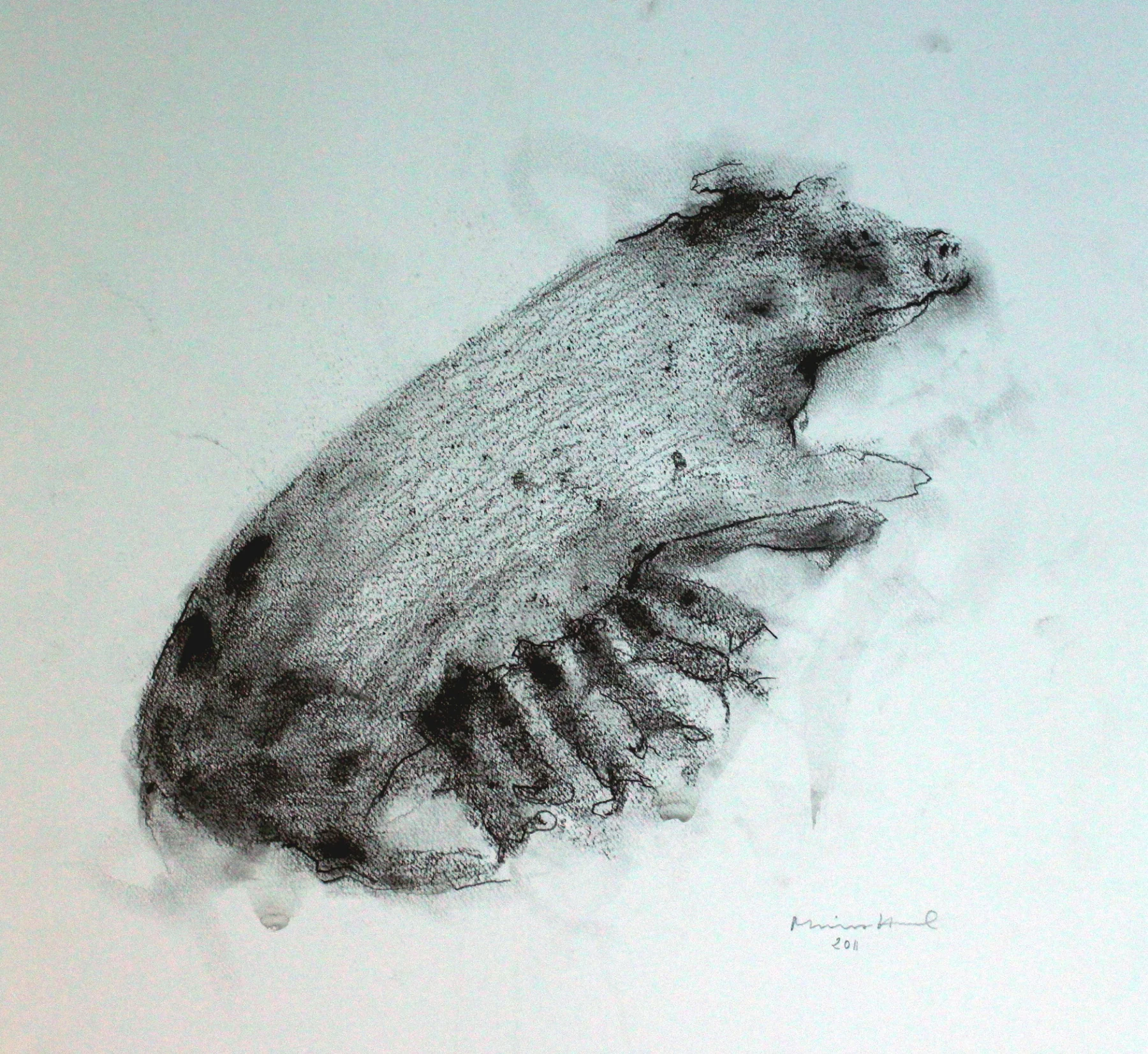 Ham Farm  graphite  Kinkkufarmi 2011 grafiitti