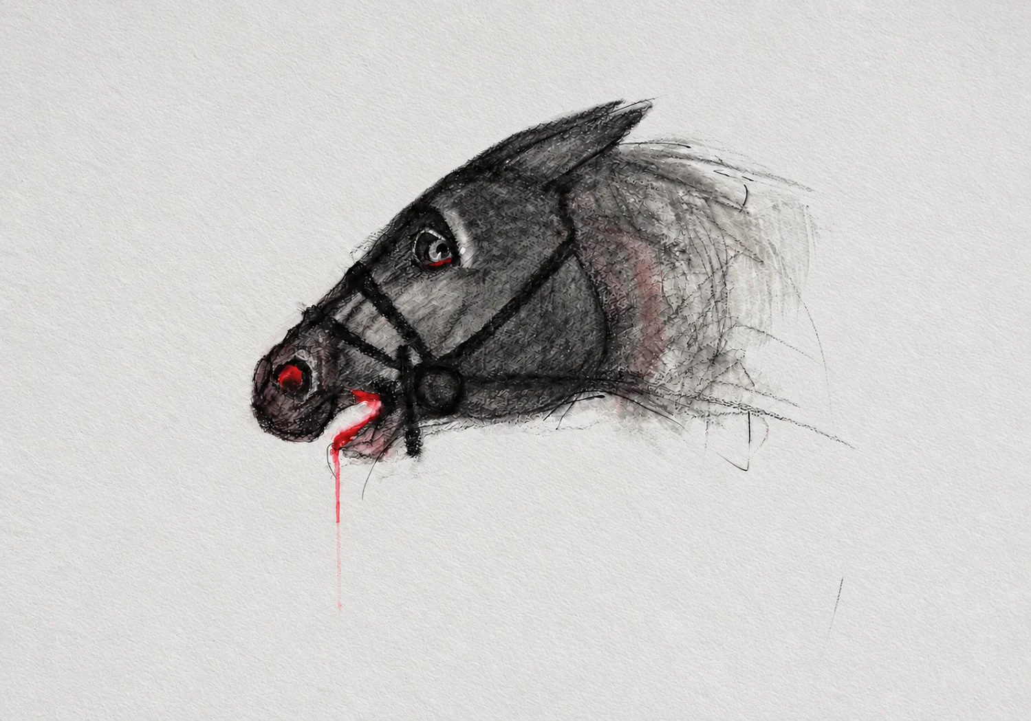 Running with the taste of blood in its mouth, graphite and ink 2020
