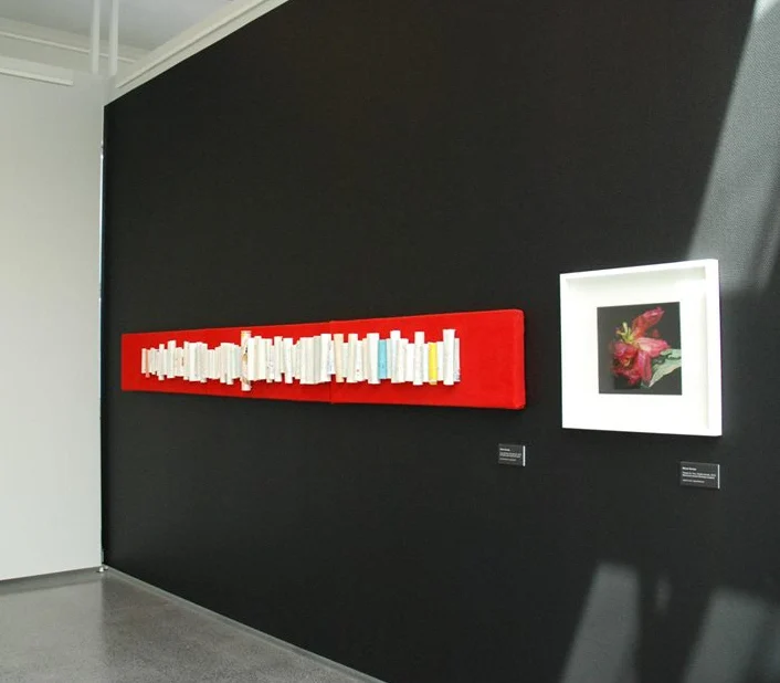 They have all been remembering me, installation 2014