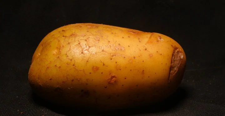 The Potato (Precious) pigment print 2012
